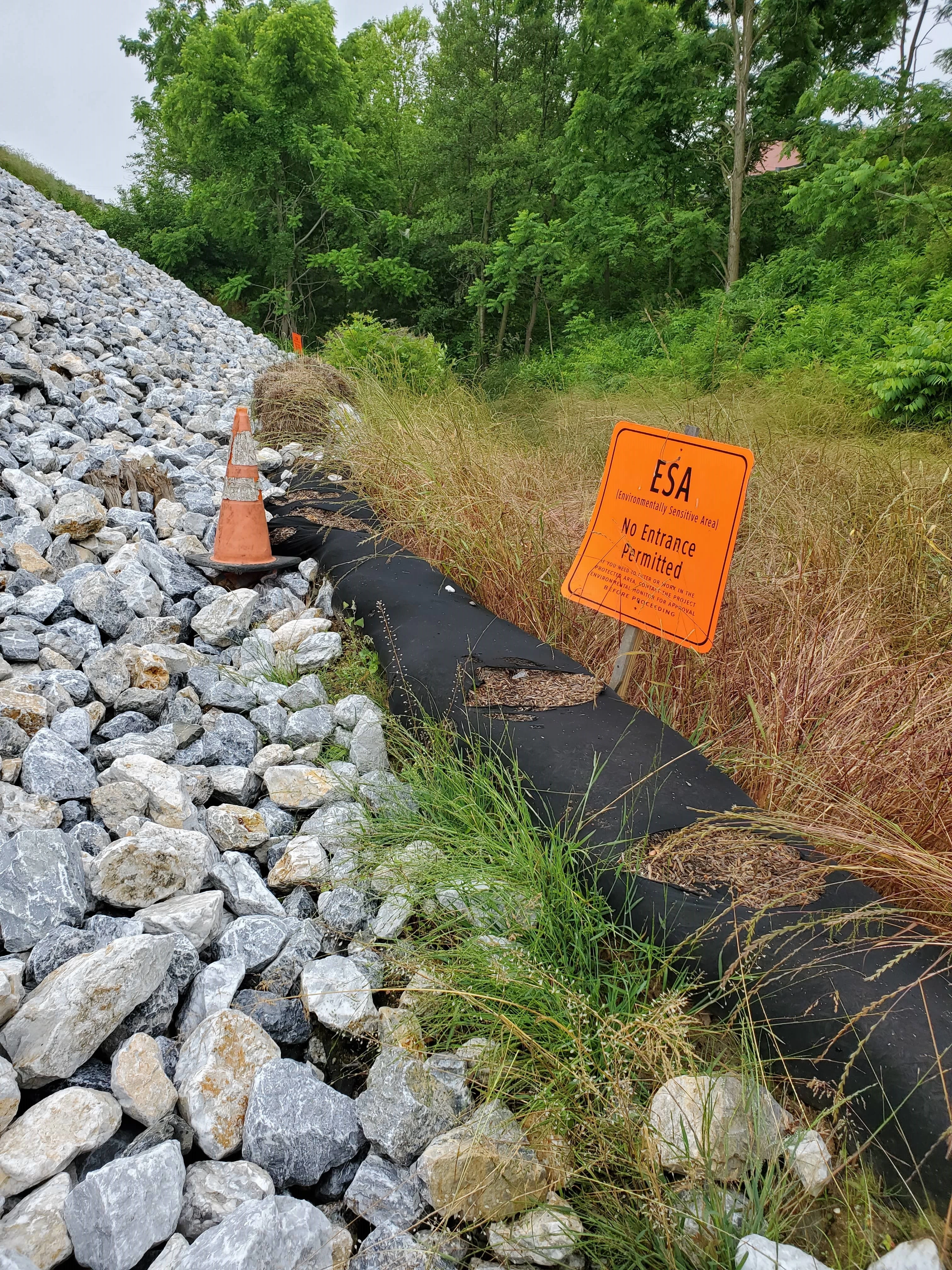 A rock embankment meets a barrier, a field of wild grass, and an orange Environmentally Sensitive Area sign.
